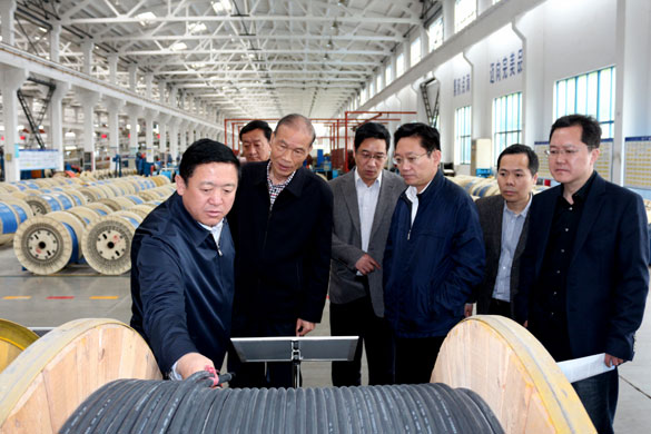 4月25日，青海省海南州州长来尊龙凯时人生就是搏电缆考察