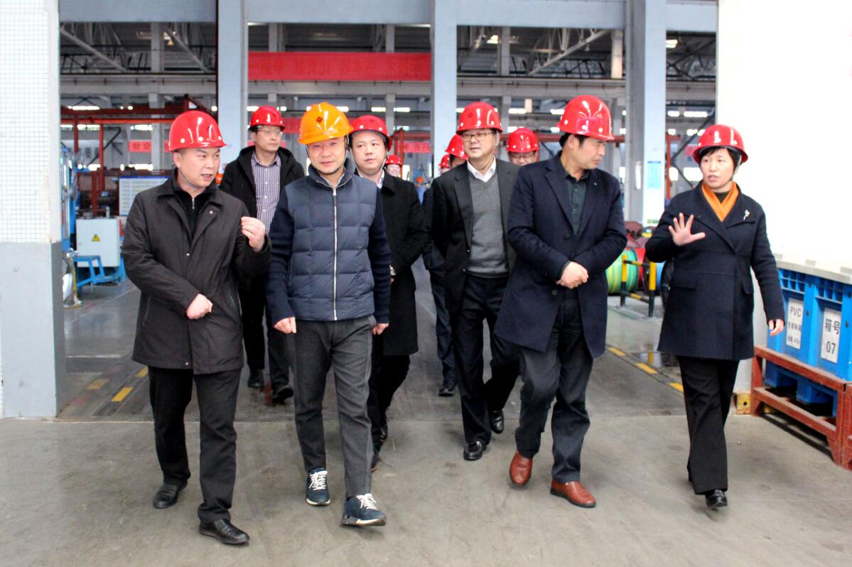2019年3月7日，广安市岳池县考察团来尊龙凯时人生就是搏电缆旅行考察